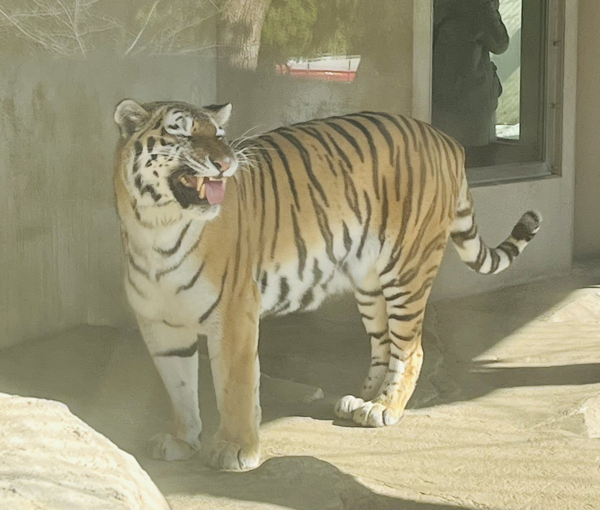 Image for the Tweet beginning: 中級編 DAY15 MERITセクション（CSSから）

.is-reverse &amp; →