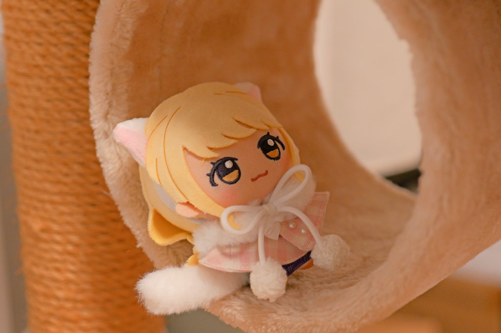 nrx_044titans's tweet image. ことねこ(寝)