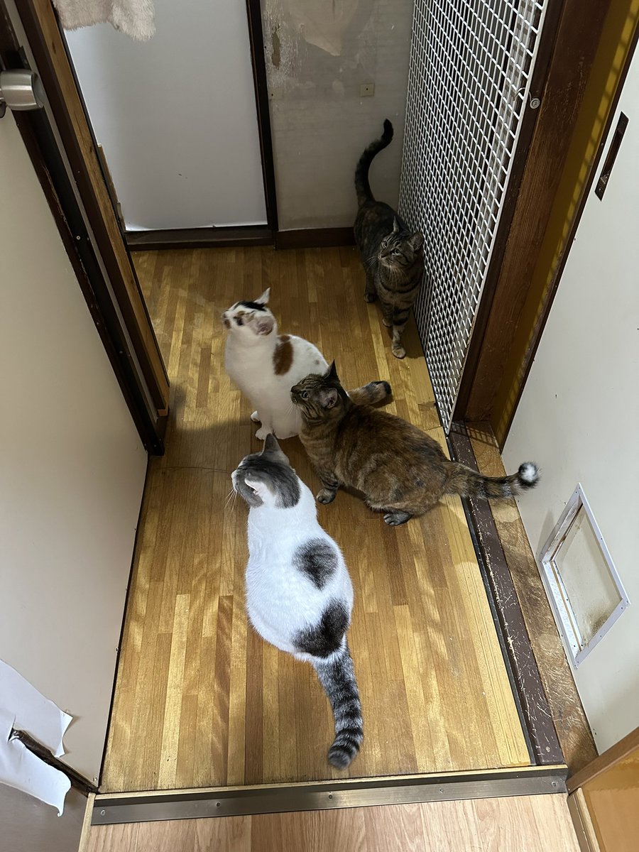 あれー？今日。
結局、寝るタイミングを失いましたね。
これから風呂&amp;飯です。