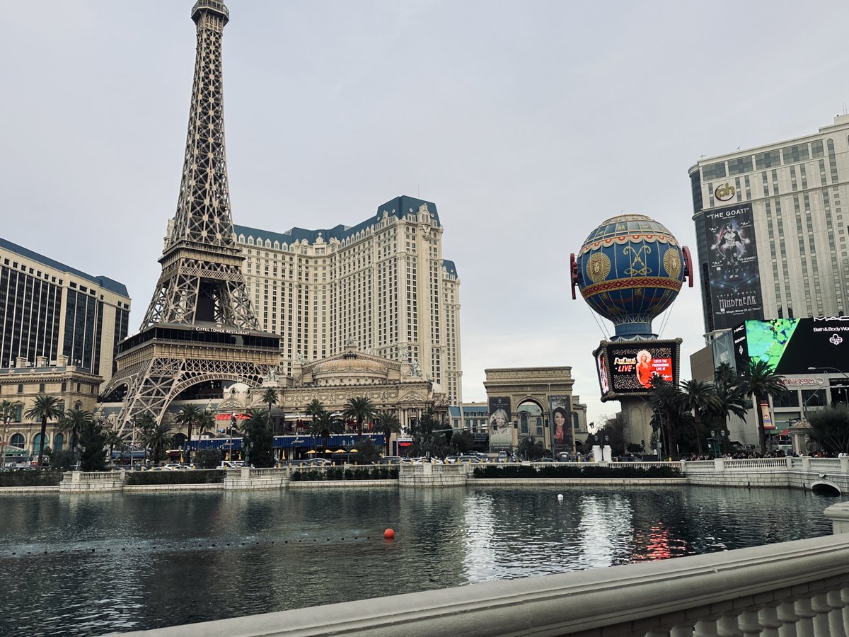 fastens 🐾 tweet media