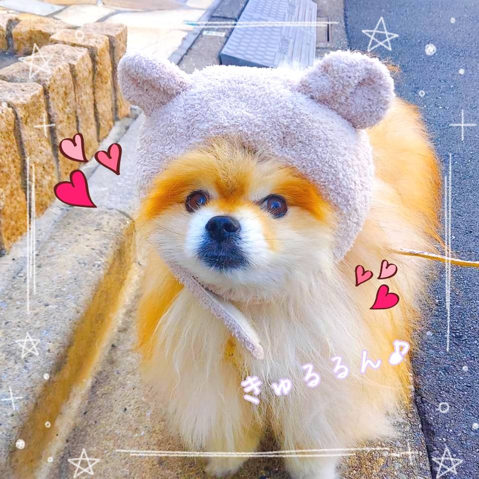 今日のS株投資 🥉アサヒGHDなど お疲れさまでした☕ ↓道を歩いてい