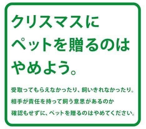 takashi sawaki tweet media