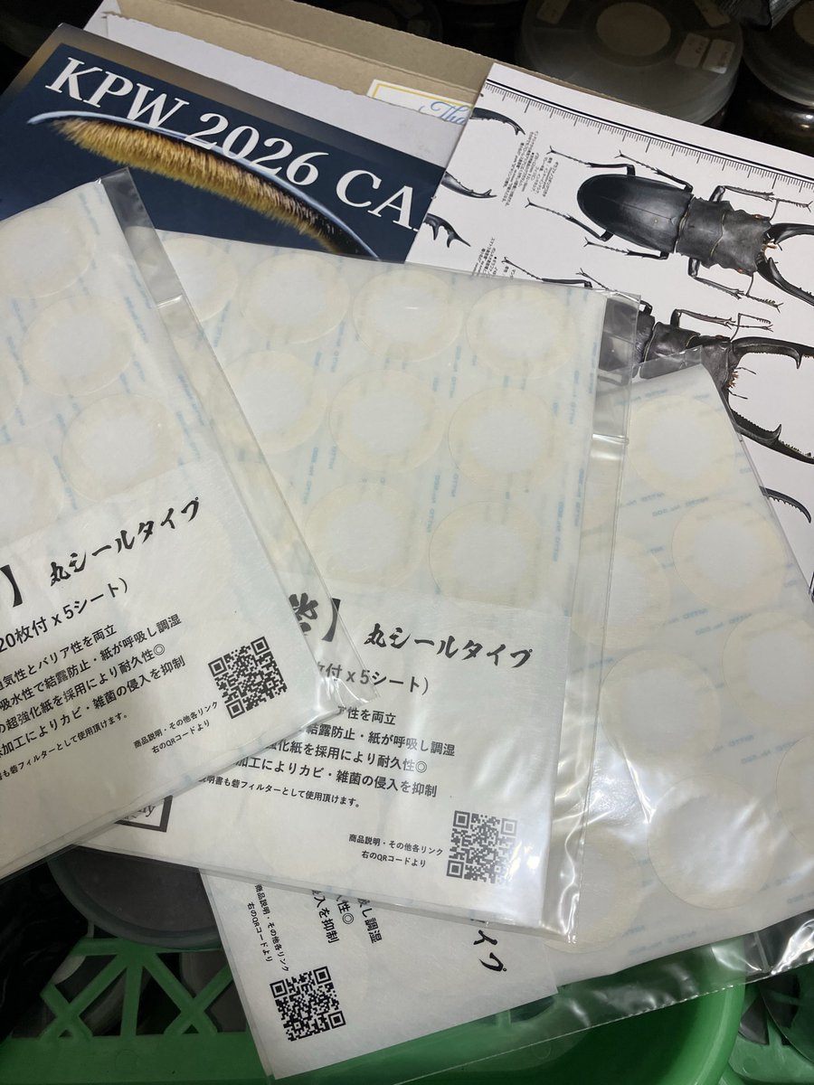 Dorcus-Academy (@dorcus_academy) / Posts / X