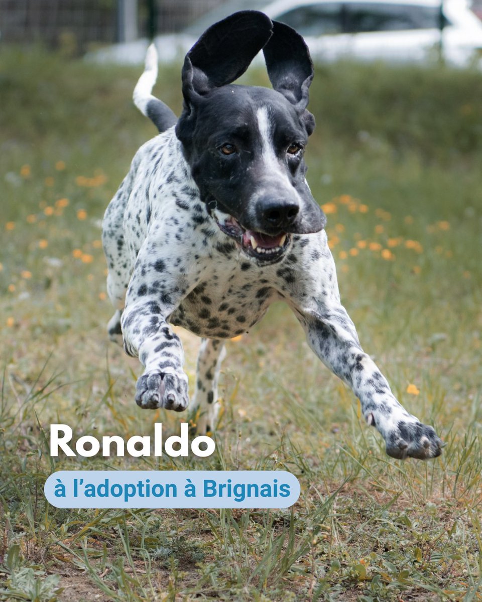 SPA de Lyon tweet media