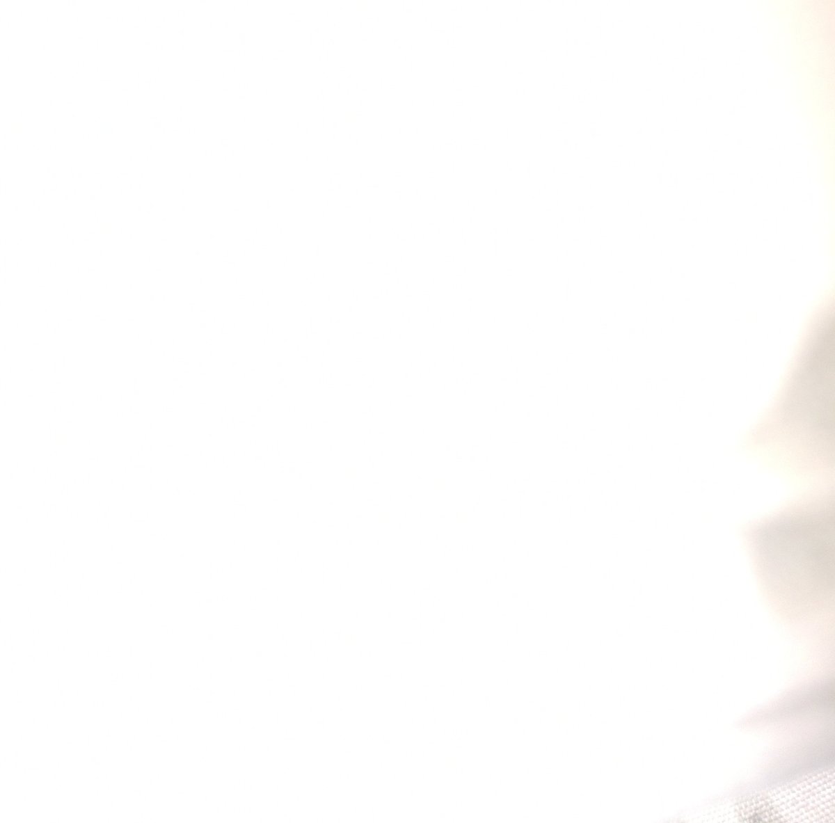 mαurice. 𖹭 tweet media