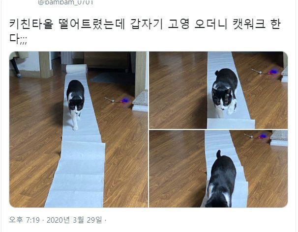 lovx11_very's tweet photo. https://t.co/nN83zRcLEm