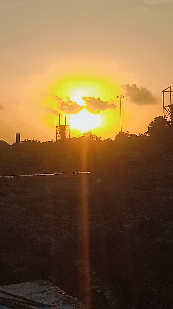 Diprojit Biswas tweet media