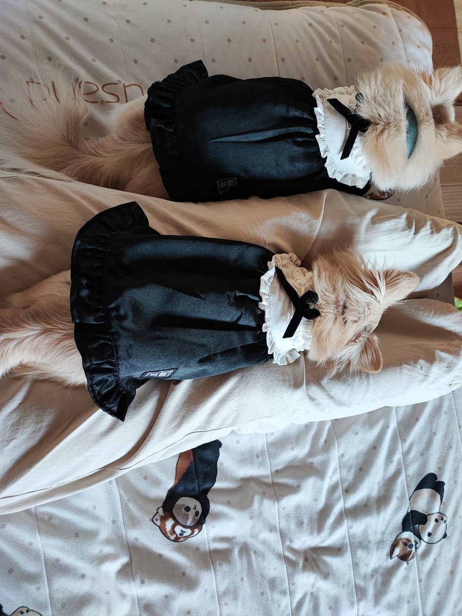 nururu_rl's tweet photo. https://t.co/4qaLMbJXdE