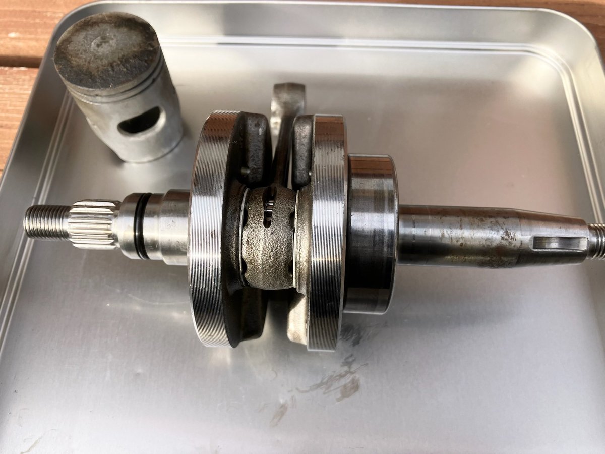 mog🐾 (@CLUB_No26) / Posts / X