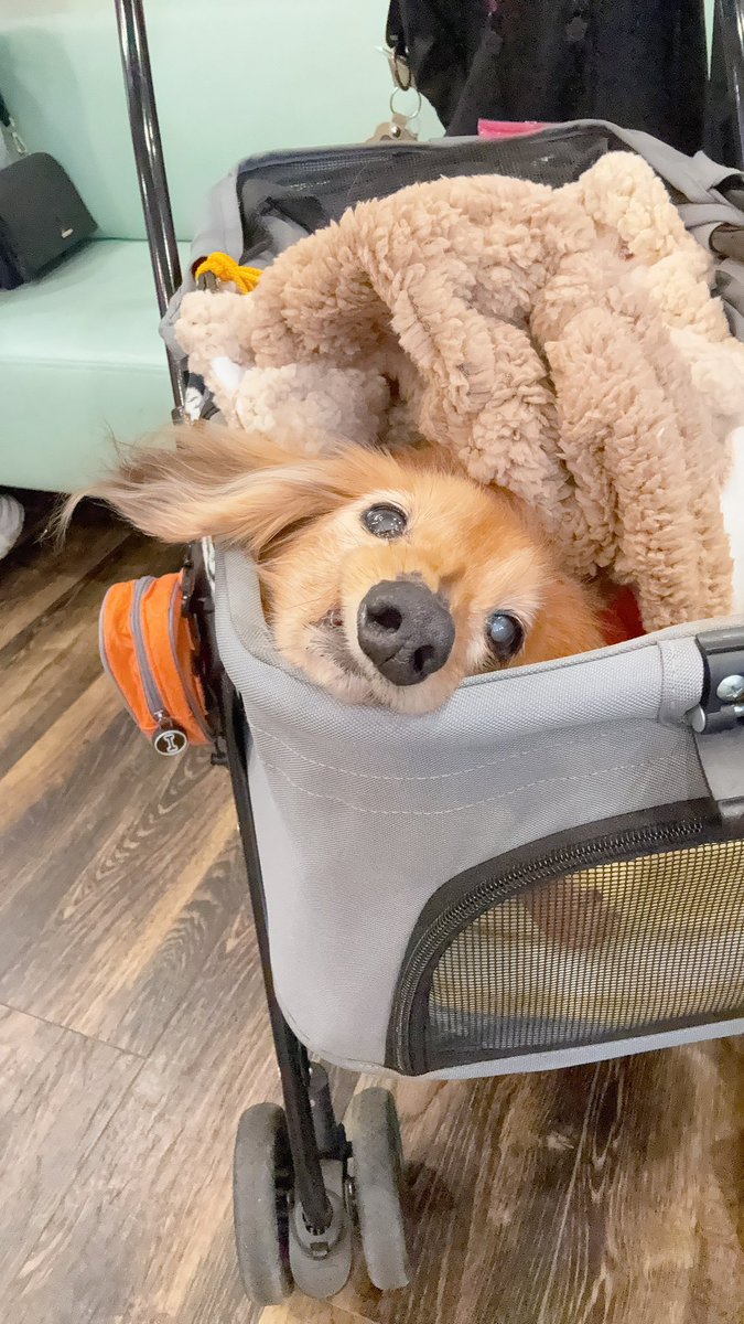 まろん🔰バイク初心者🔰 (@maron1234_) / Posts / X