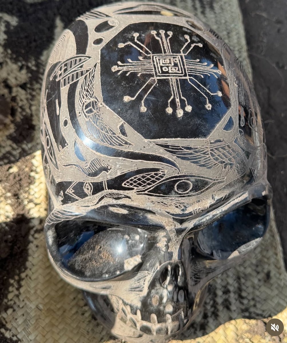 chad_8899bev's tweet photo. @MYC_NETWORK Everyone needs a solid lizard interpreter in this market..
#ODDAPP https://t.co/uBnbfyfIpb