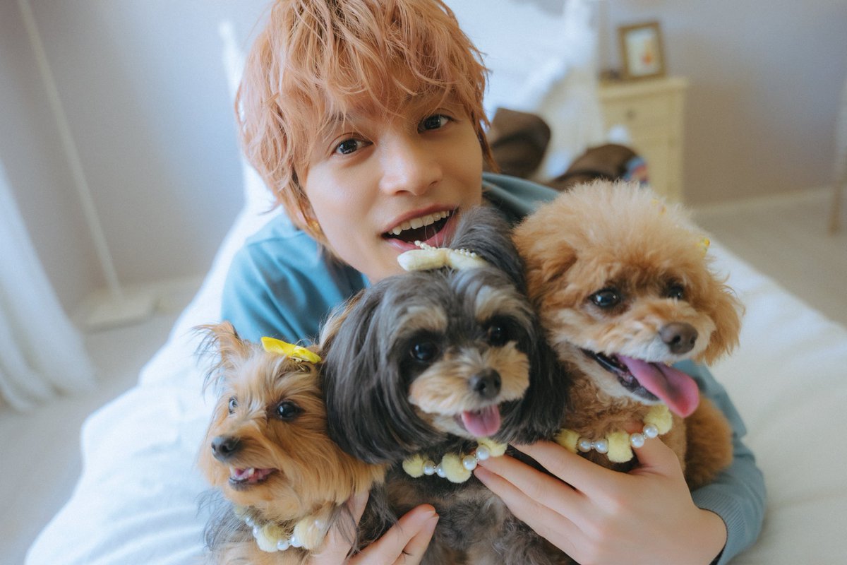 ぴょんちゃん⛄️🩷🌈💚🍀🐼 (@ikupyonuser) / Posts / X