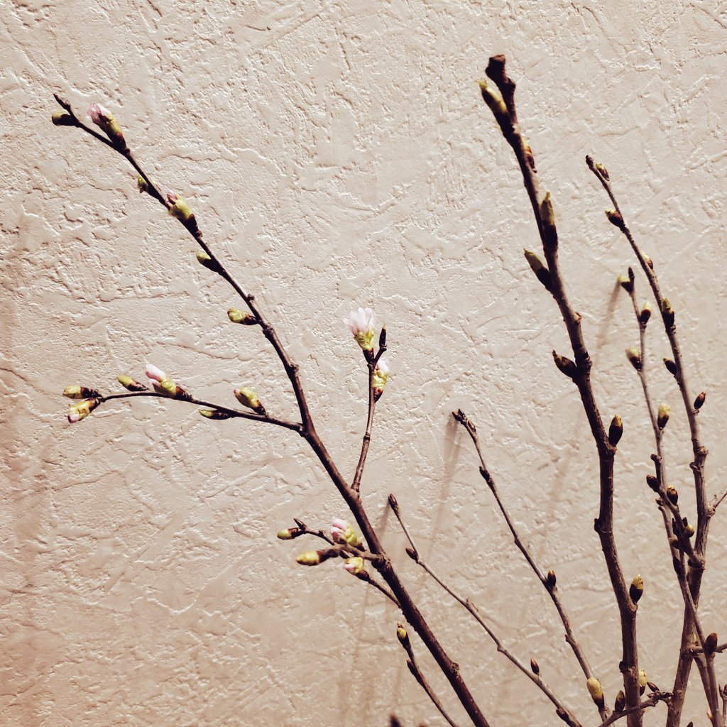 ピーマン(๑>◡<๑) スパーク 1/43 Kudzu DLM マツダ 1996 ルマン24H #20 F.フレオン/寺田