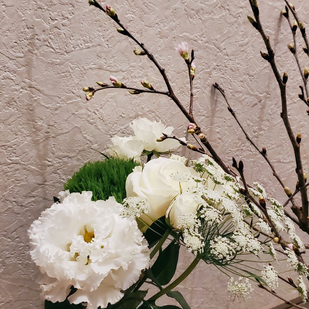 ピーマン(๑>◡<๑) Spark 1/43 Kudzu DLM Mazda No.20 Le Mans 24H 1996 F. Fréon - Y