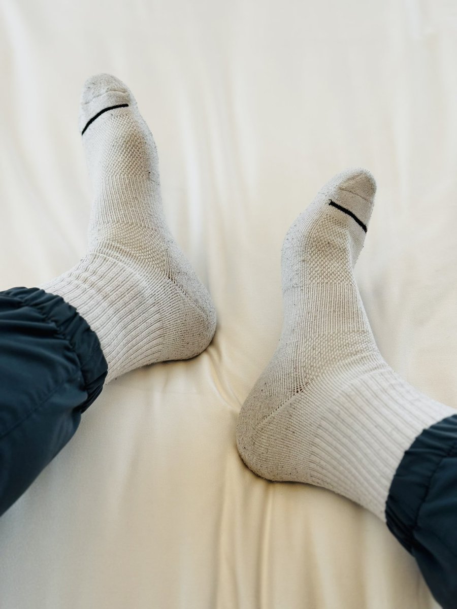 Newcomer2017 tweet media