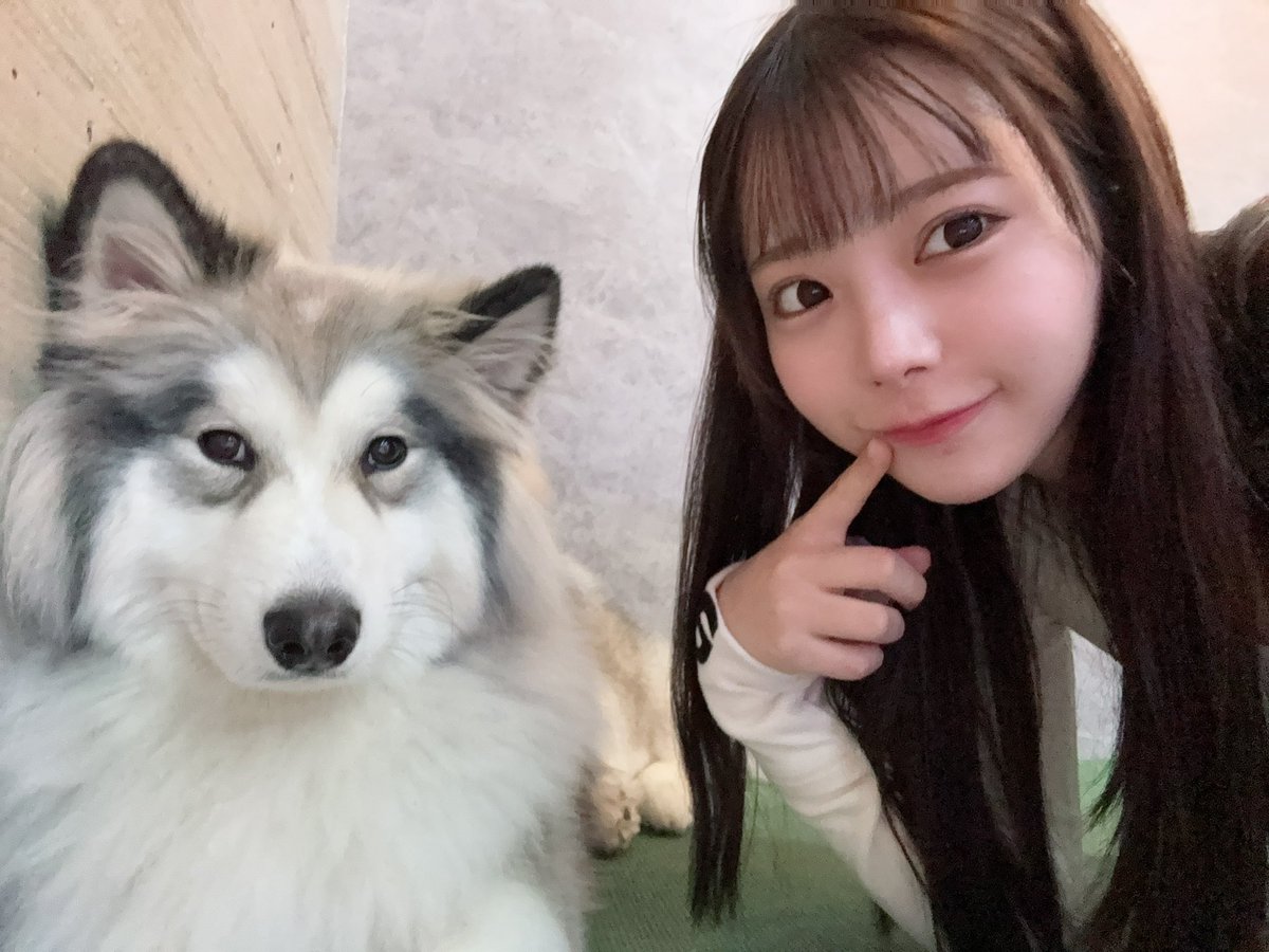 ___runa_na's tweet photo. この子がグラビアアイドルやめてデビューしてくれたの令和最大の奇跡やでwww https://t.co/Xzzbr8WMmg