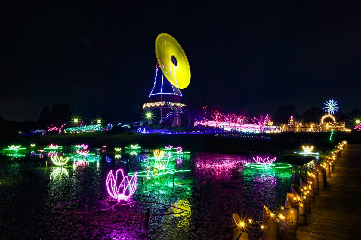 霞ケ浦総合公園 オランダ型風車前広場で「#水郷桜イルミネーション」が