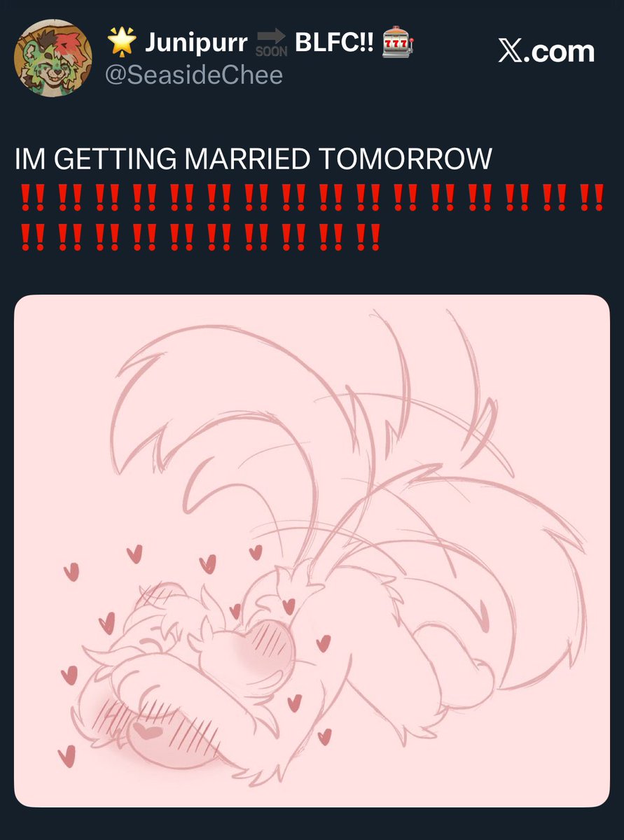 🌲🌧️ Junipurr 🔜 ANW 🌧️🌲 tweet media