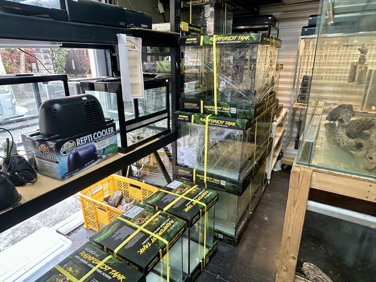 新品ケージ大量に届きました✨️ お値段もお安くなってます‼️ 是非ご