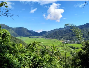 Nature teaches us balance, patience, and harmony. Protecting it today ensures a greener tomorrow. 🌍
#NaturePhotography 
 #SaveEarth 
#GoGreen 
#BrahMos 
#tokyo 
#Airdrop 
#buddhist