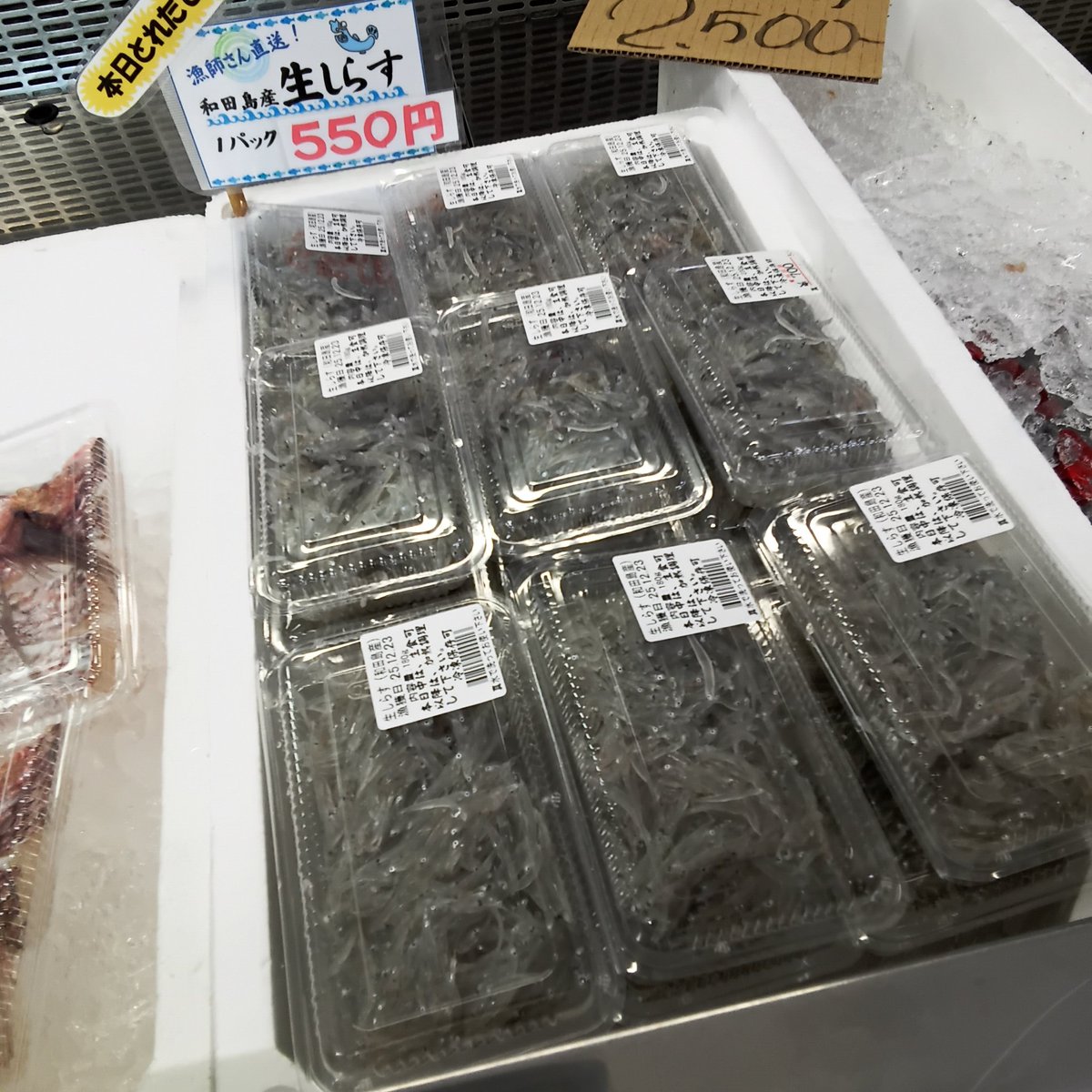 令和7年12月23日(火)☀ とれたてしらす入荷しました 生しらすは只今