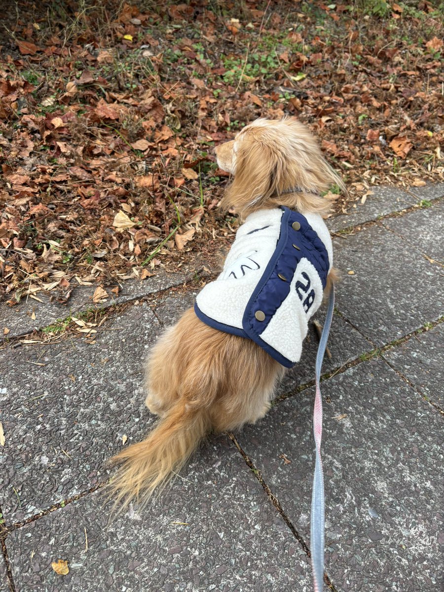 ゆきんこ🌸 (@Yukinko0520) / Posts / X