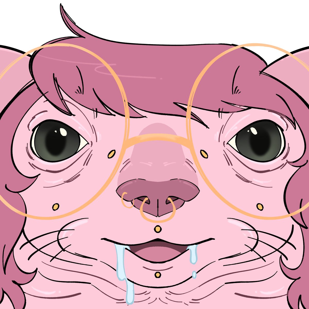 ✨olivia, rosas silly seal✨ tweet media