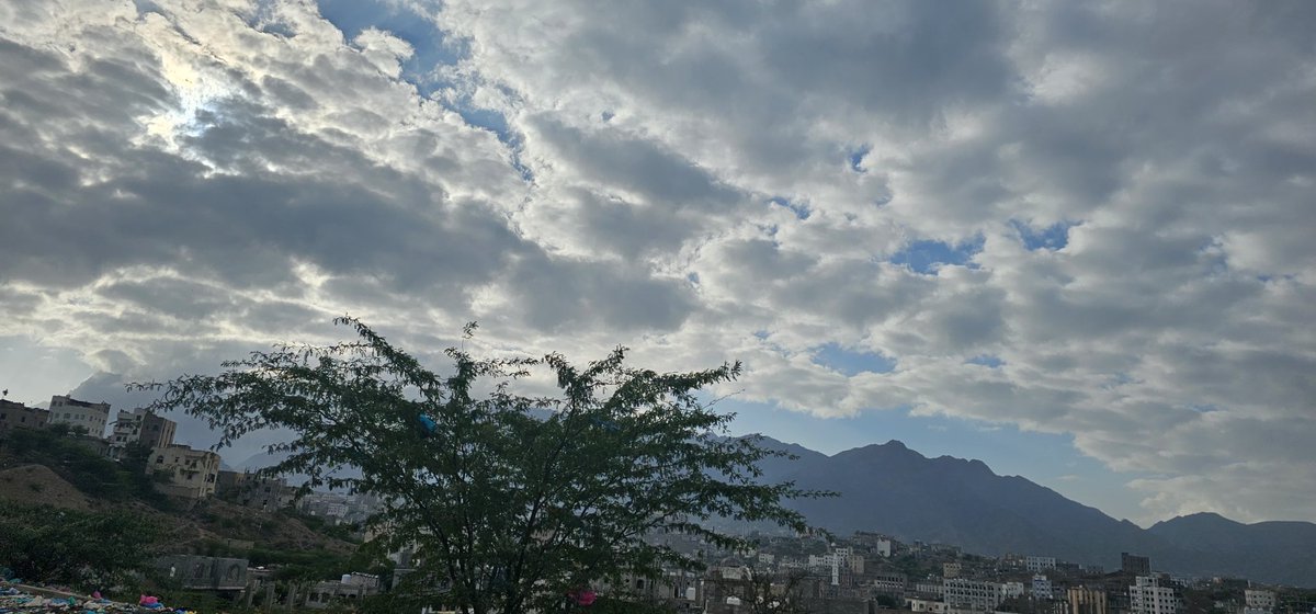 ي صغيري فجأة تتبدل الأحوال،
ربك قادر 
منظر السماء مع الشجرة اليوم خيال النظر الى السماء والارض يا صغيري شيء مهم من اجل التفكير في مخلوقات الله 
ي صغيري شجرةً تزرعها للهِ يبقيها الله لكَ واقفة كالجبل
يا صغيري، تذكًر دومًا : ما كان لله يبقى!
تعز