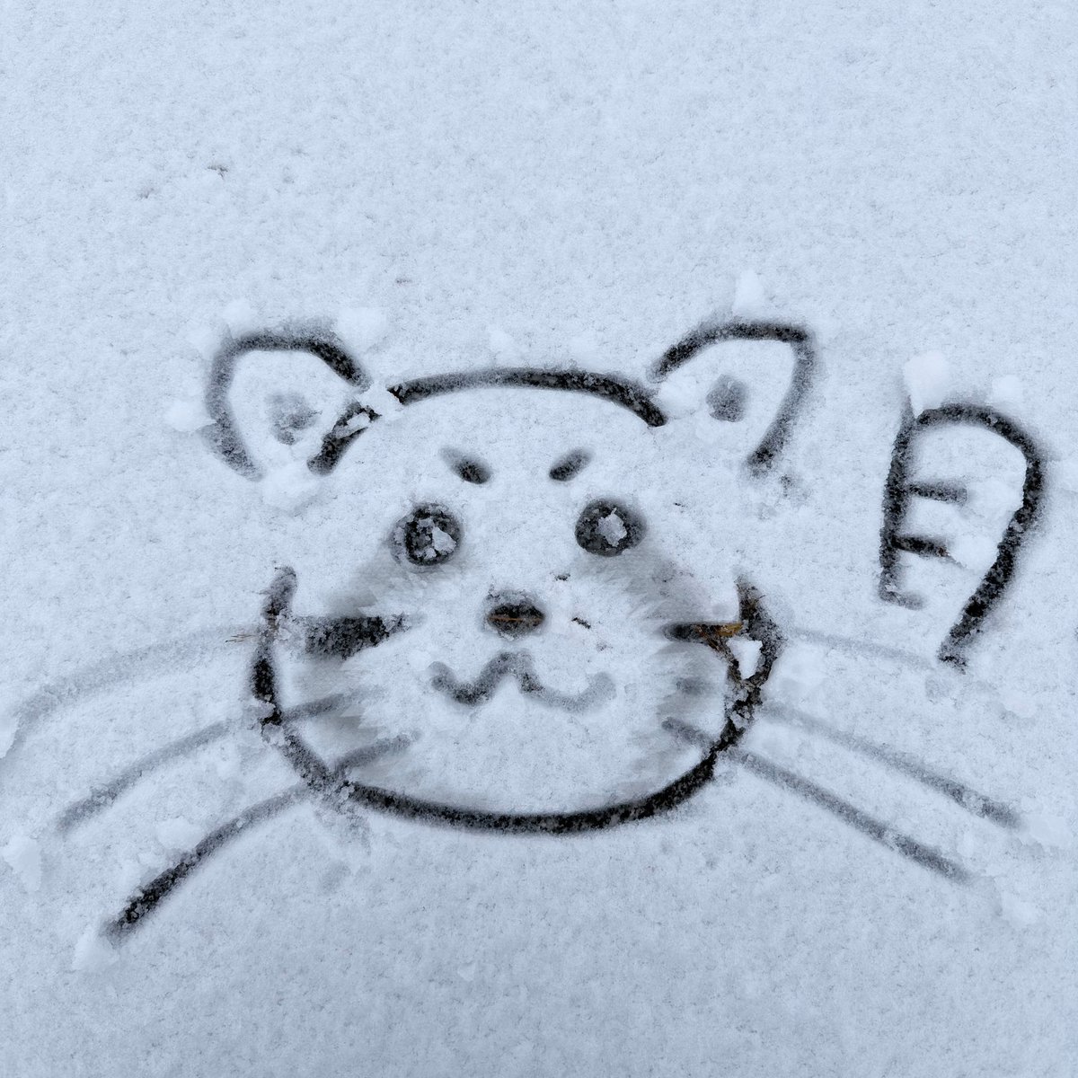 3geyoutiao's tweet image. พิจ้านมาอัพเวย
“เมคอัพ⛄️” 555555555555555 น่าร้ากกกคิดถึงคับ😭