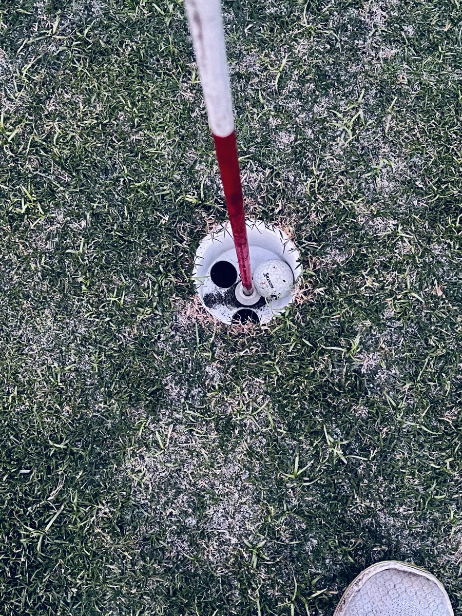 revsodhi's tweet image. Golf dump of the year.
Two new courses added with even pars.
Two holes-in-one this year.
Just need one when a car’s on the line.
Christmas 🎄 wish submitted
Ho, ho, ho! 🎅
#Christmas2025 
#golfer
#golfwish 
#golf