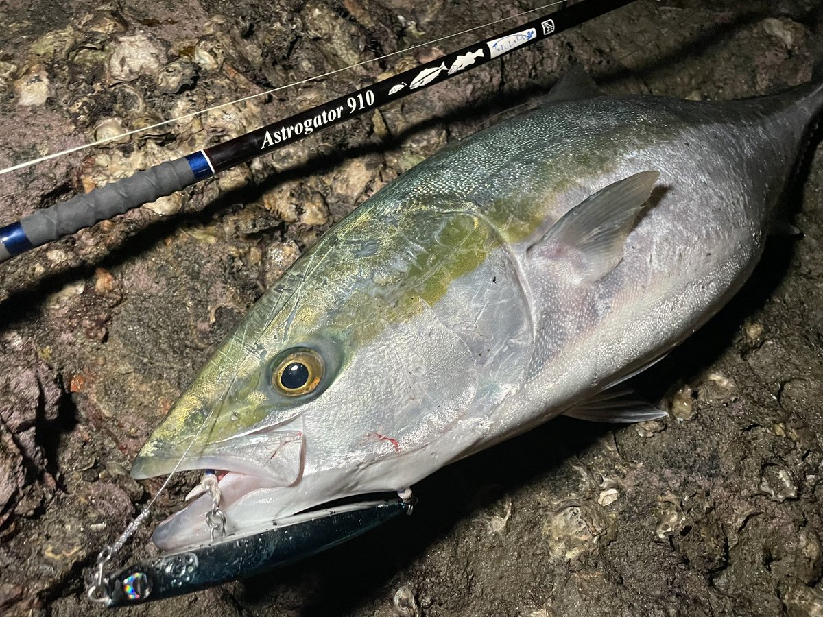 リッジライン　ハミングバード Hummingbird original / RED HEAD STANDARD | RIDGELINE ONLINE SHOP