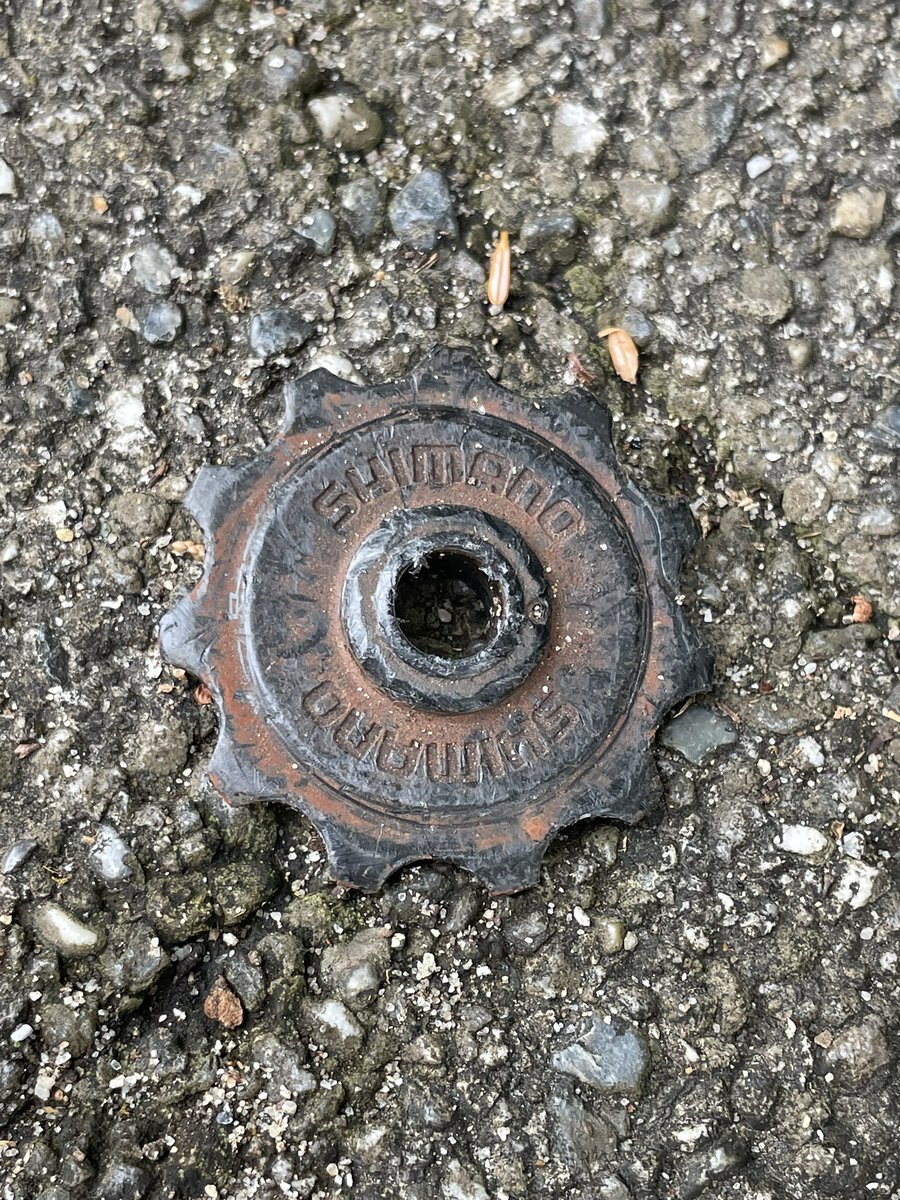 お前、迷子になったのか？