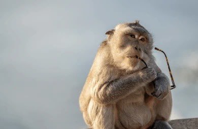 This is completely true. XB2 has better combat tho