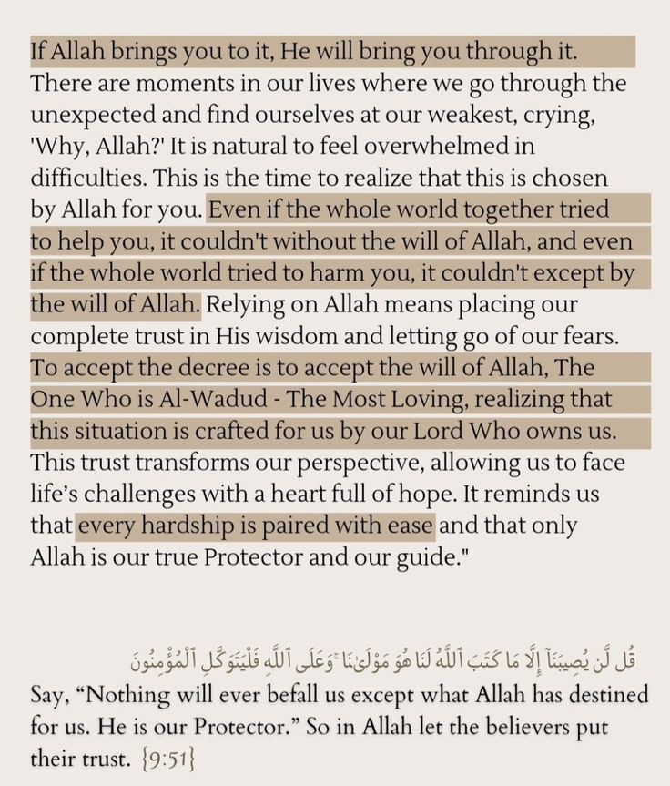 yasir_00x's tweet photo. 🤍 https://t.co/KQJ8ZQbMZ9
