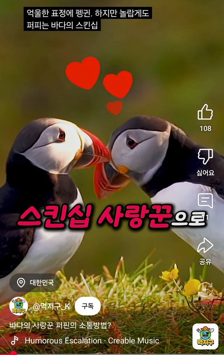 덕질계 tweet media