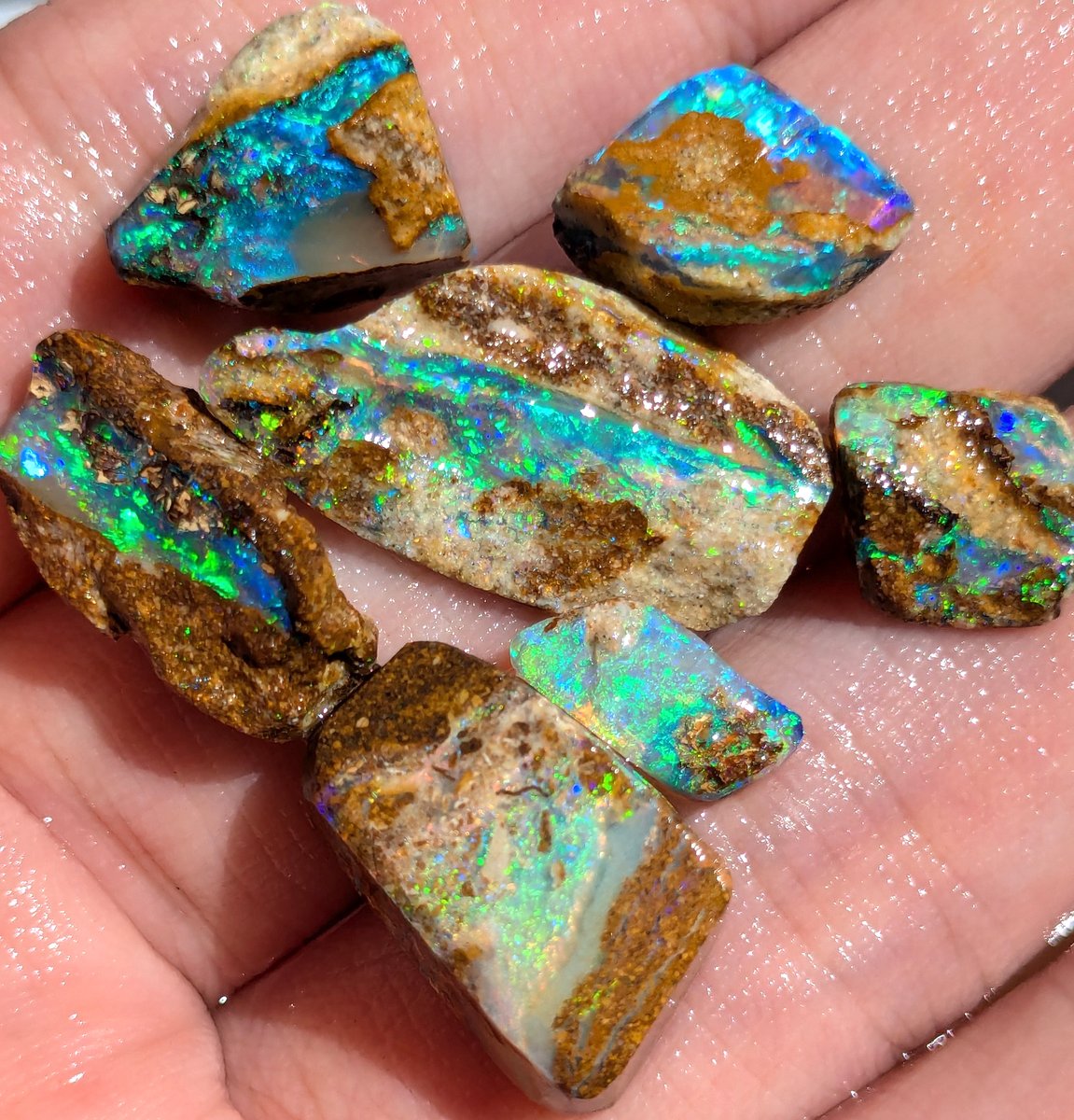 Queensland州産 ウッドオパールの原石 現在コレクターさん所有