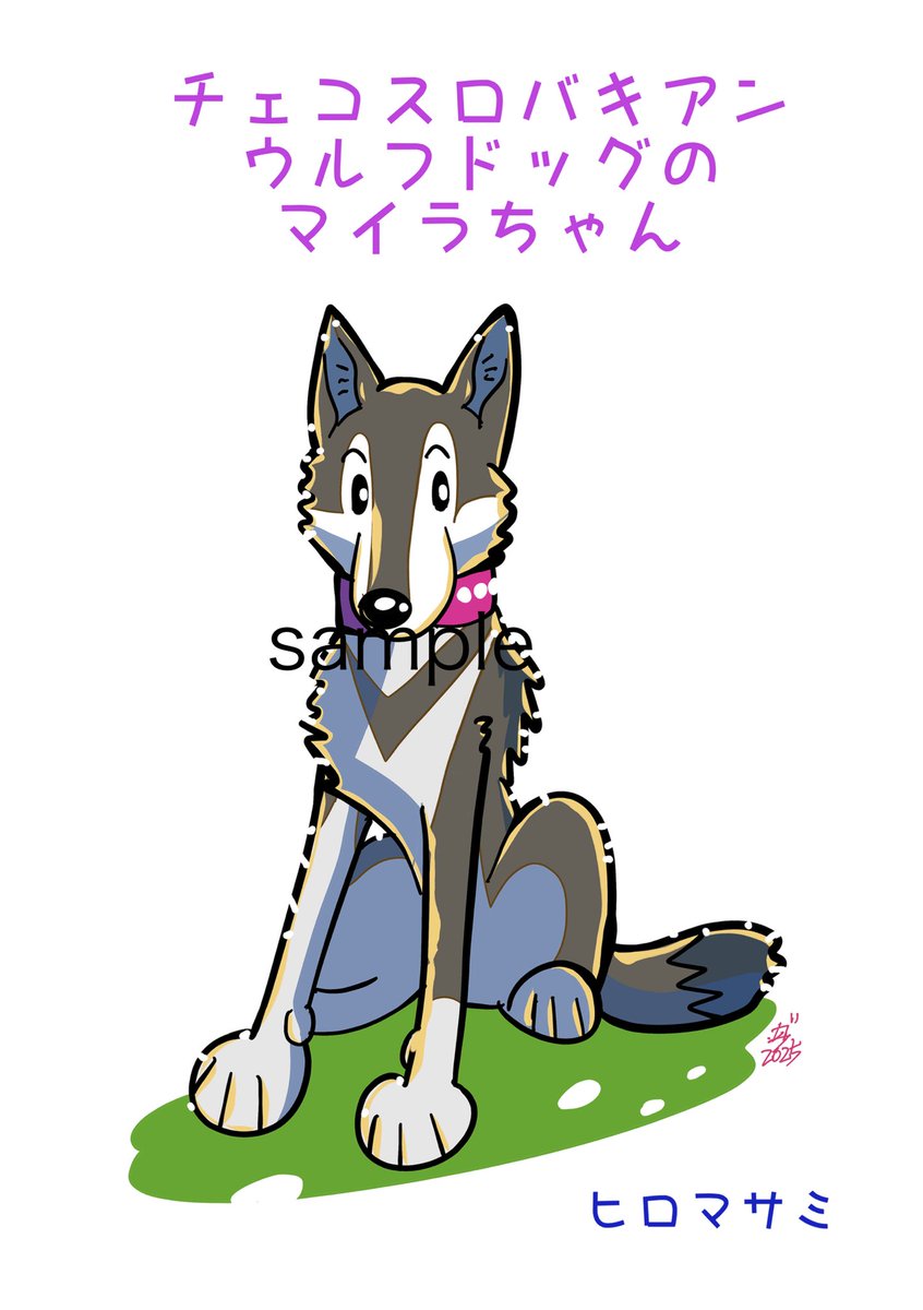 チェコスロバキアンウルフドッグのマイラちゃん」入稿完了
