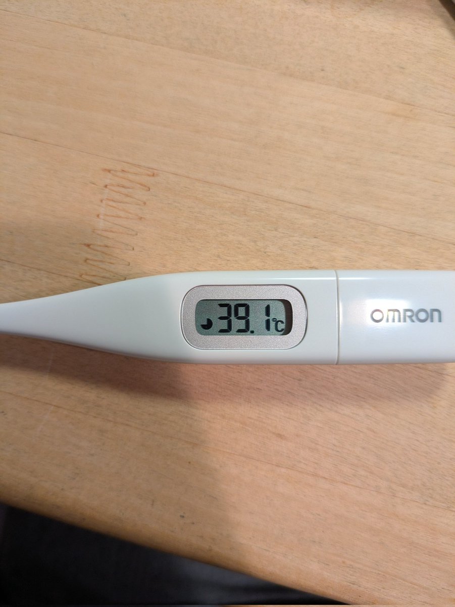 日曜の夜から風邪引いてて、さっき体温計買ってきたけどこれはヤバすぎｗ
タヒぬ〜ｗ