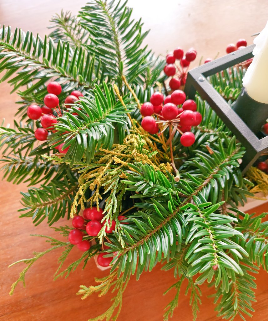 mayu。 (@xx_mayu_xx) / Posts / X