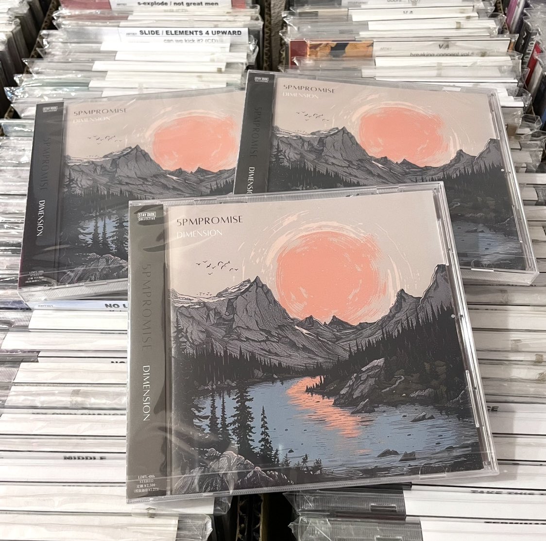 2009年に滋賀で結成されたスクリーモ/叙情派ハードコア5PM PROMISEの