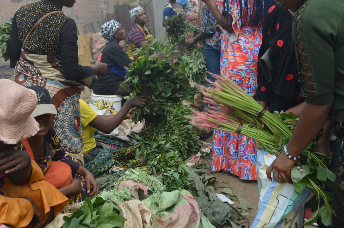 JustinNkumbarhi's tweet image. #Bukavu: La grande partie des legumes qu'on consomme dans la ville de Bukavu, vient du Rwanda. Paradoxalement, les territoires de Kabare, une partie de Walungu, Kalehe et Idjwi peuvent produire bien des legumes et exporter le surplus. Comment renverser la tendance? Comment