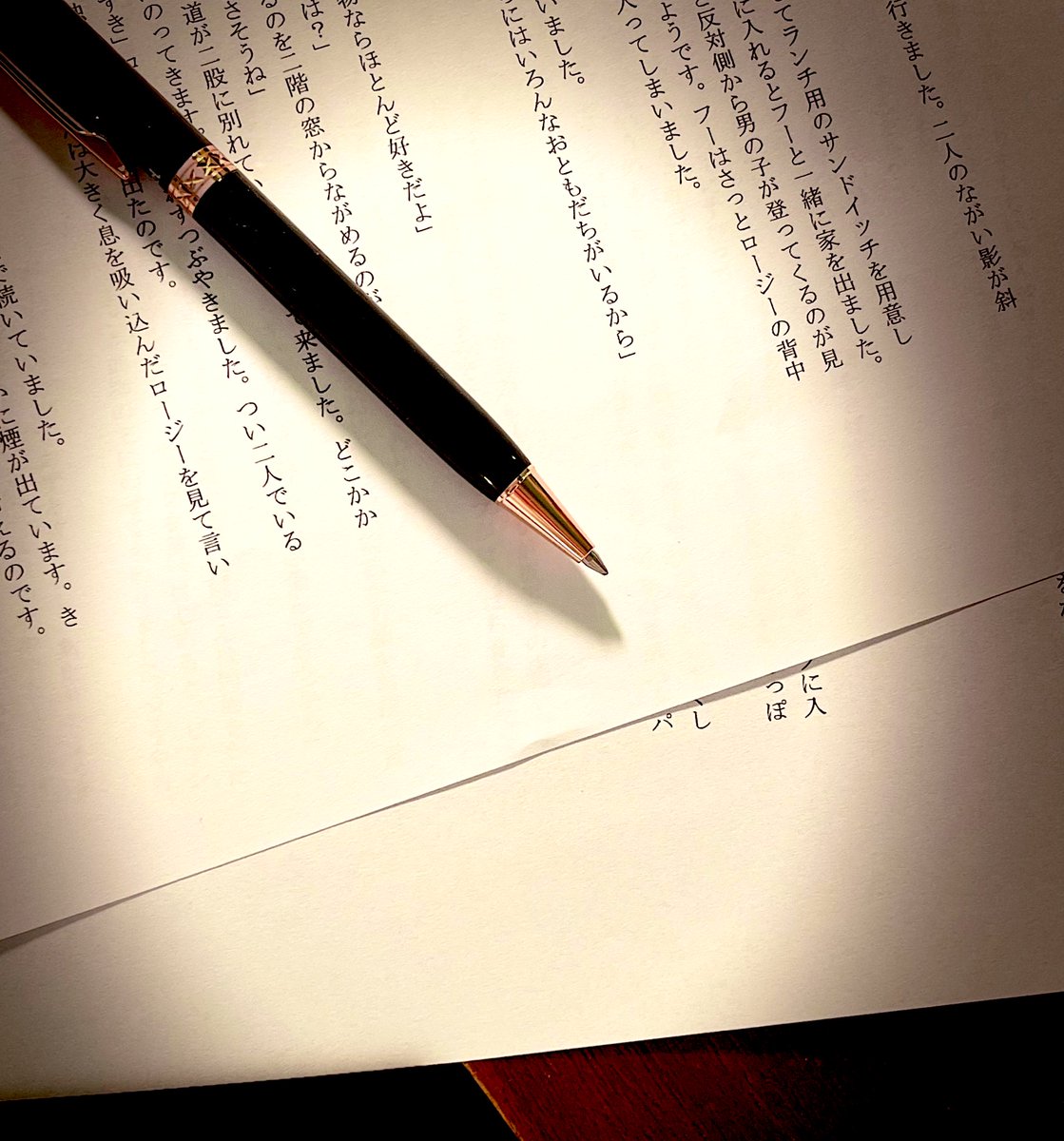 きょうは父が書くロージーの冒険物語2作目の再校があがってきました📃とても良い感じ...少し大人ぽくなったロージーがまた猫のフーと冒険に出ます。来年2026の文学フリマに✴︎   私は物語の表紙や挿絵などを担当します🌳🐈‍⬛🚢
 #文学フリマ東京42