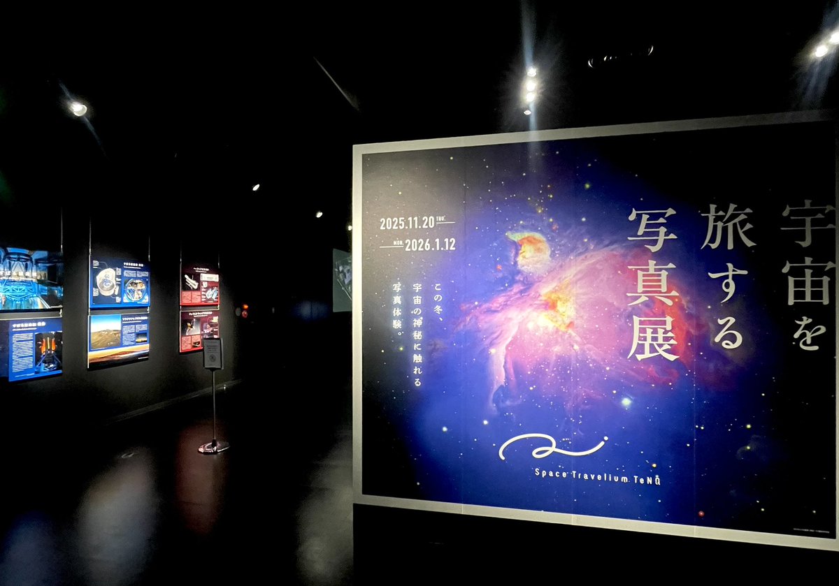 Mimi (@Mimi12954310) / Posts / X