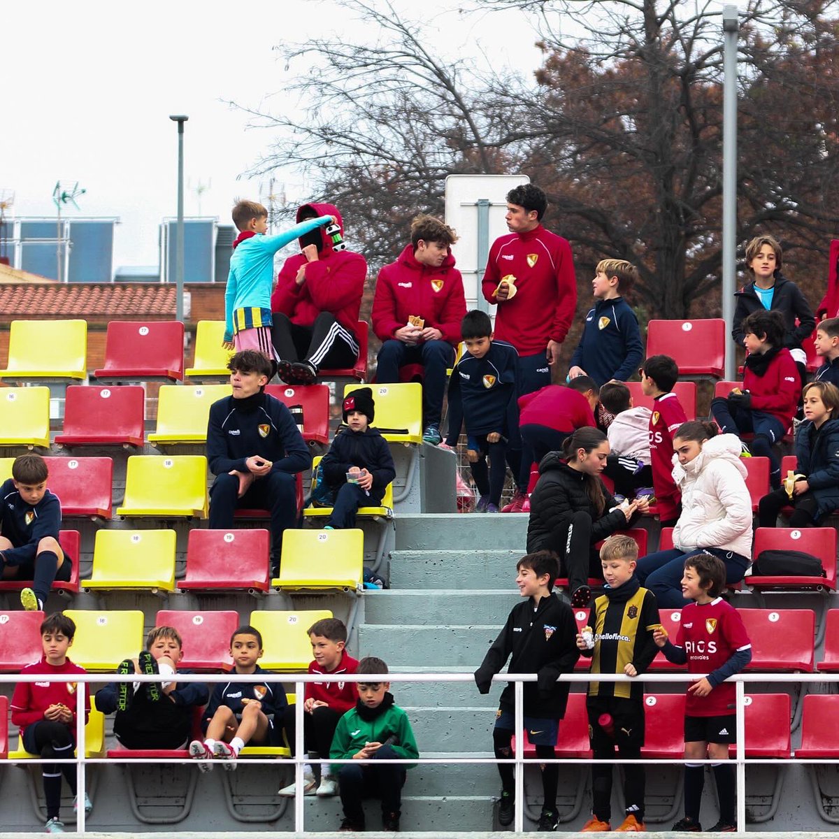 🎅🏻 Arrenca el del 𝗖𝗔𝗠𝗣𝗨𝗦 𝗗𝗘 𝗡𝗔𝗗𝗔𝗟🎄 del <a href="/TerrassaFC/">Terrassa FC</a> a l’Estadi Olímpic de #Terrassa❗️

🙌 AMUNT #TERRASSA! 🙌