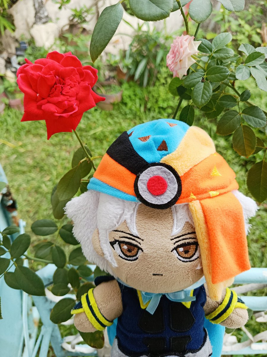 🌸 mei♡ 🌸 (also on BSky!) tweet media