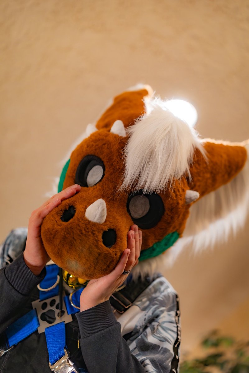 Cocoa tweet media