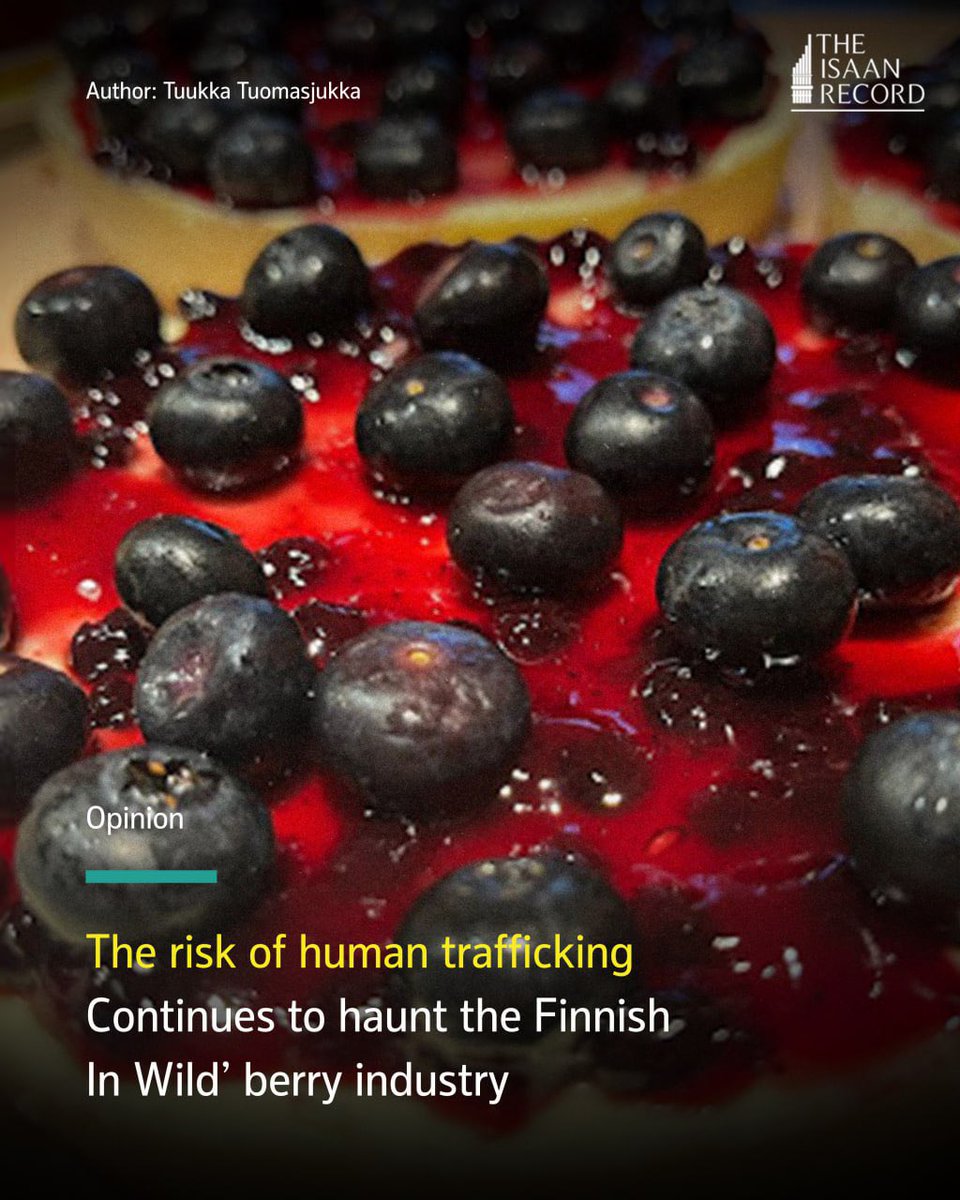 Finnish experts still warn about the risks associated with the working conditions of foreign berry pickers in Finland. 

But does the possibility of human trafficking bother us when we prepare our Christmas treats made from natural berries – or should it?

theisaanrecord.co/2025/12/23/wil…