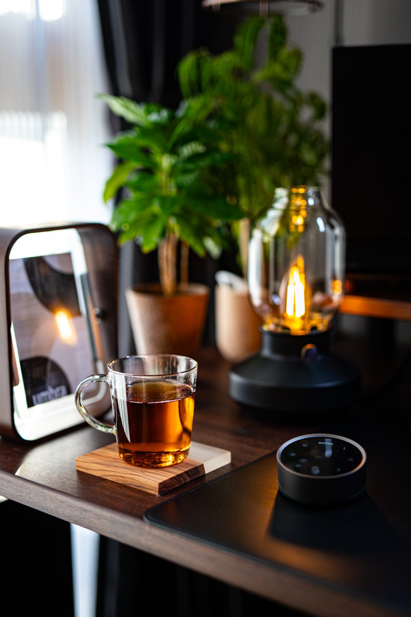 椛/もみじ (@MomijiDesk) / Posts / X