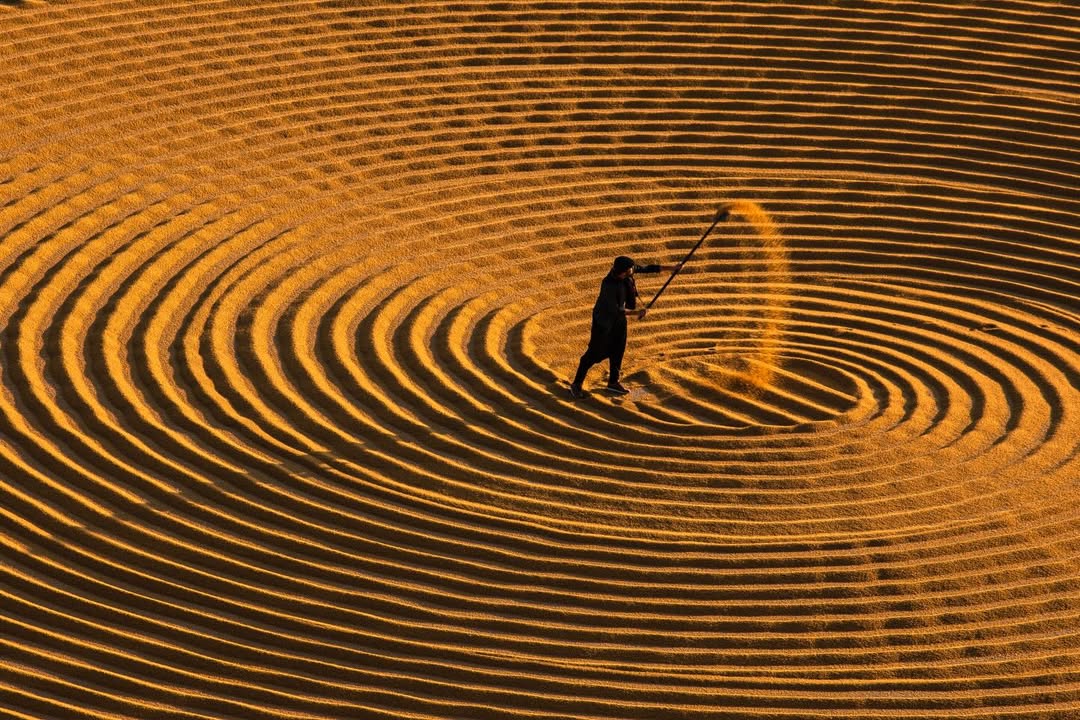 Lo Tractor Rosa tweet media