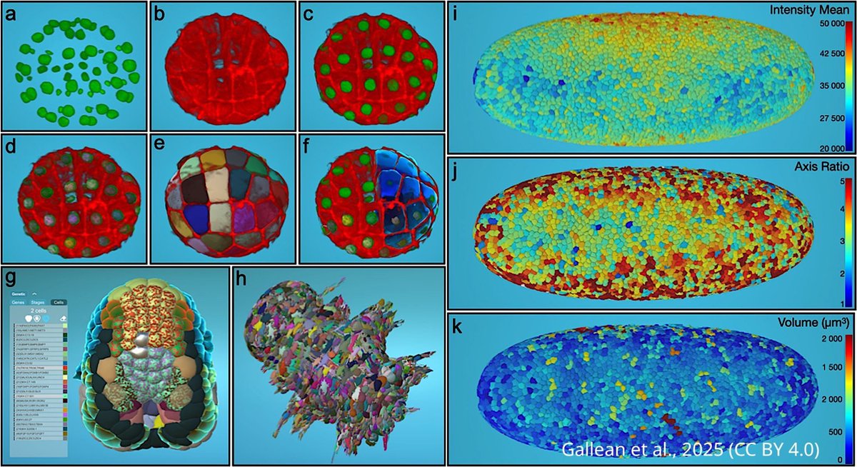 eLife - the journal tweet media